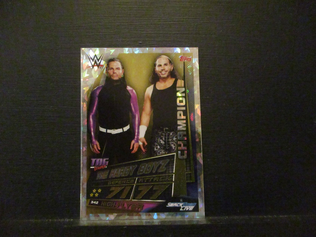 The Hardy Boyz - Champion Slam Attax Universe Original Trading Card #342
