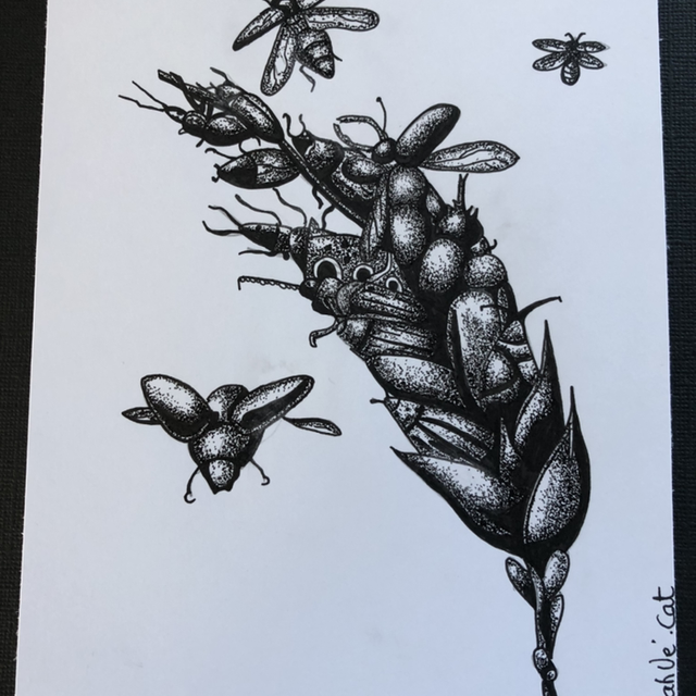 insectes en épis - 21 x 27 cm - encadrement blanc &amp; bois 