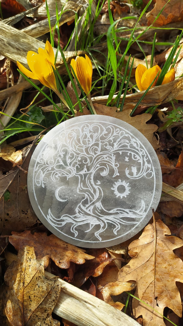 Disque en Selenite 