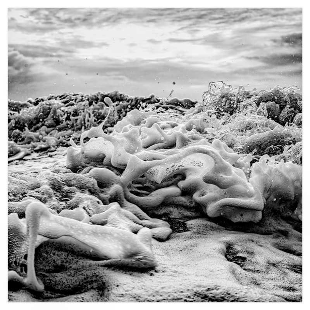 Particules de vie II