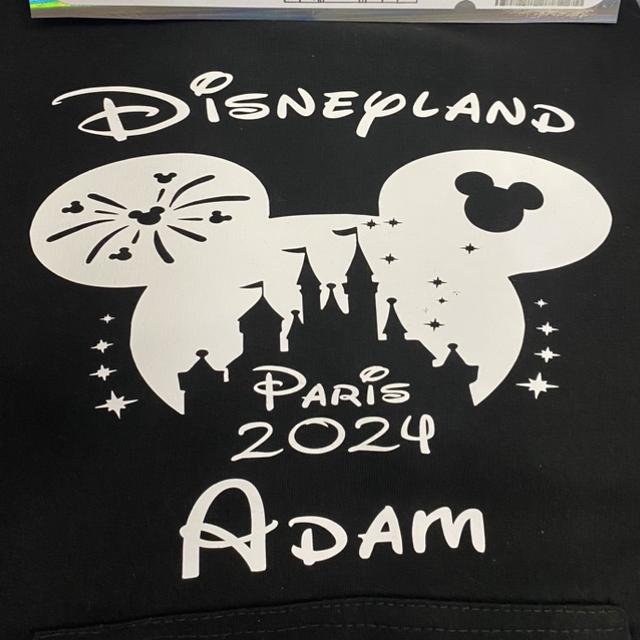 Disneyland castle silhouette hoodie