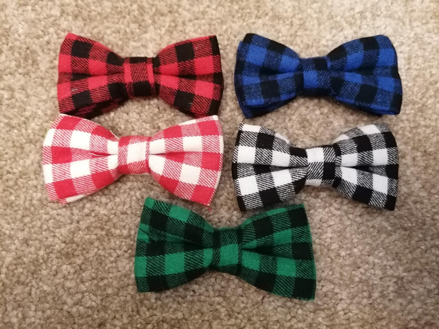 Bow Tie 