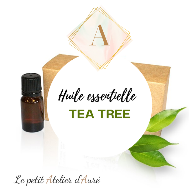 Huile essentielle Tea Tree (Arbre à Thé) 10ml
