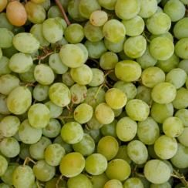 uva blanca ecológica Con Pepitas