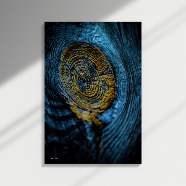 Dibond print - Gouden Noest