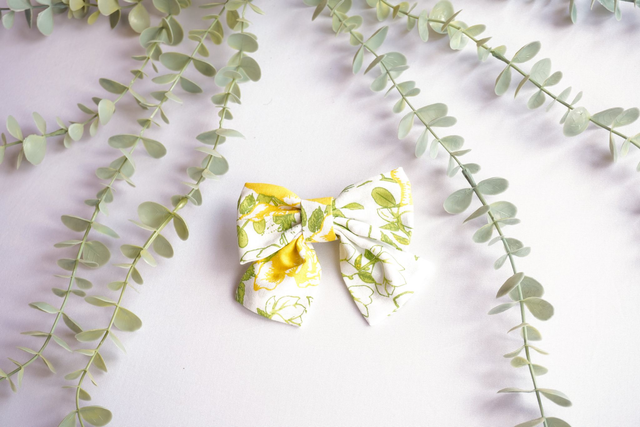 Hair Bow #004