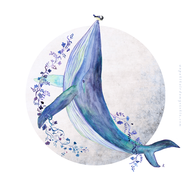 Carte postale Baleine et mésange
