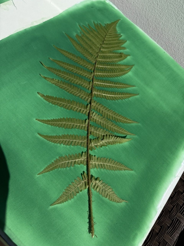 Sac cabas feuille de fougère - impressions botanique artisanales - pièce unique