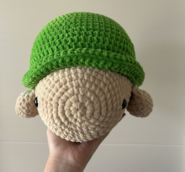 Sam die Schildkröte