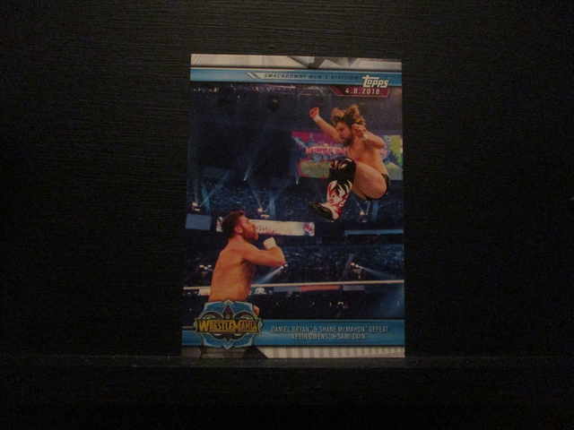 Daniel Bryan &amp; Shane McMahon Defeat Kevin Owens &amp; Sami Zayn - Champions Original Trading Card #95