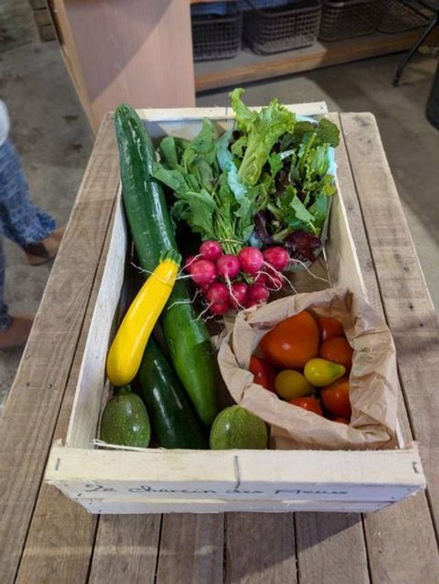 panier de légumes de saison, bio