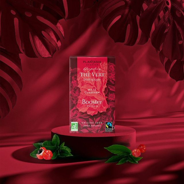 Thé Vert Booster Maté Guarana Bio*