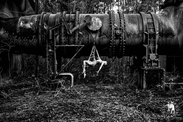 "Poésie industrielle" Tirage Fine Art sur Alu-Dibond 40x60cm