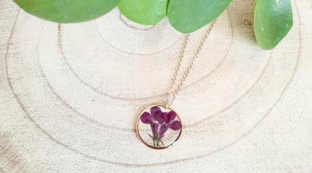 🌸 Lobélie Érine 🌸