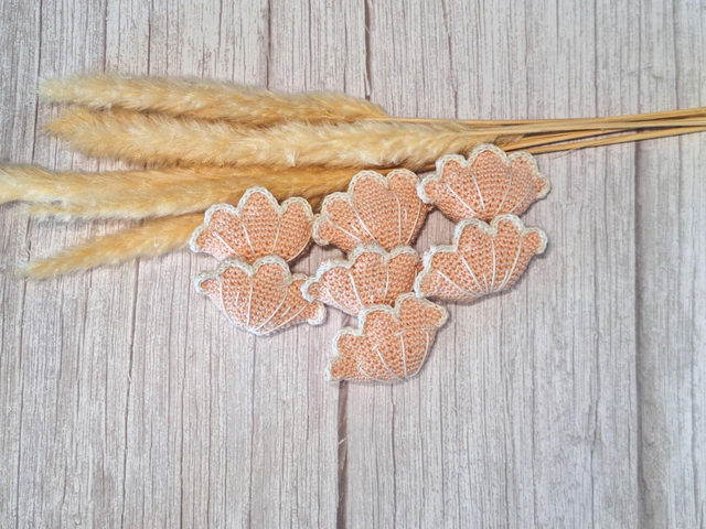 Kit Coquillages 