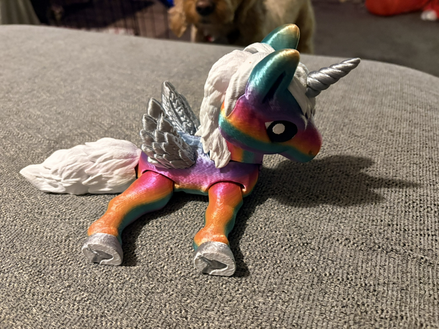 Rainbow Unicorn