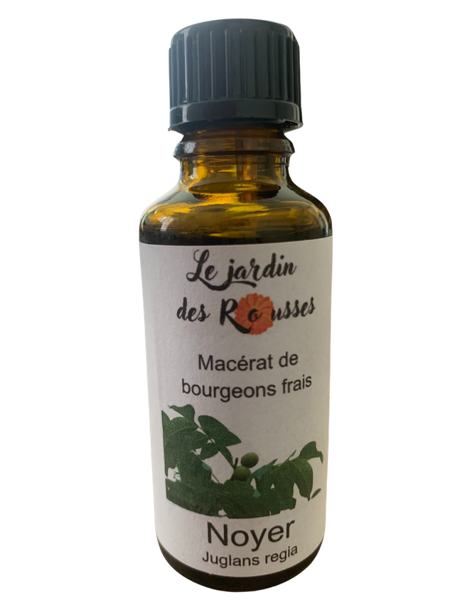 NOYER - Macérât glycériné de bourgeons Flacon de 30 ml 