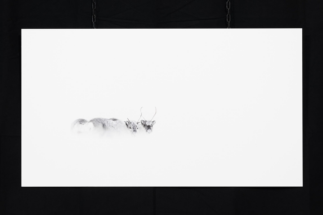 Photo &quot;La rencontre&quot; en grand format et très haute qualité