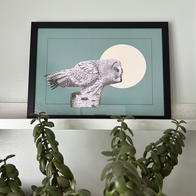 Stillness before flight - Limited Edition A3 Art print