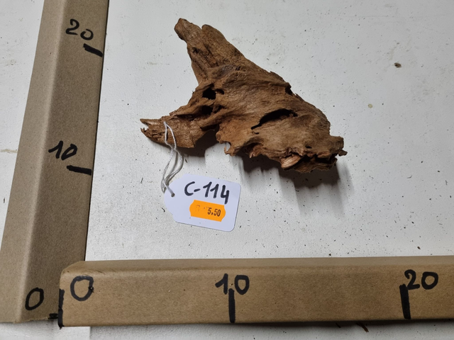 Racine Mangrove C-114