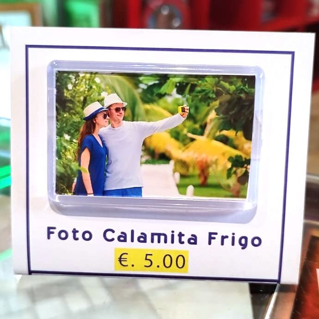FOTO CALAMITA FRIGO