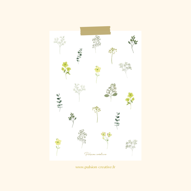 Carte postale aquarelle - Herbier