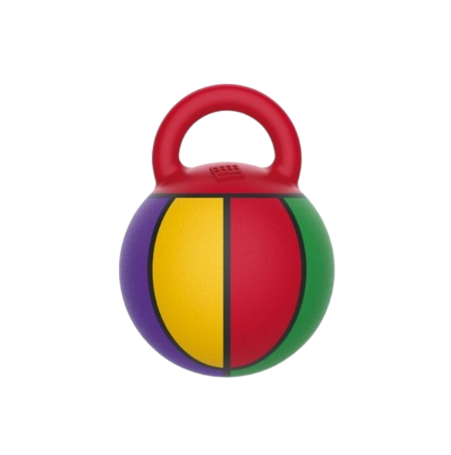 Ballon sauteur de Basket multicolore avec poignée