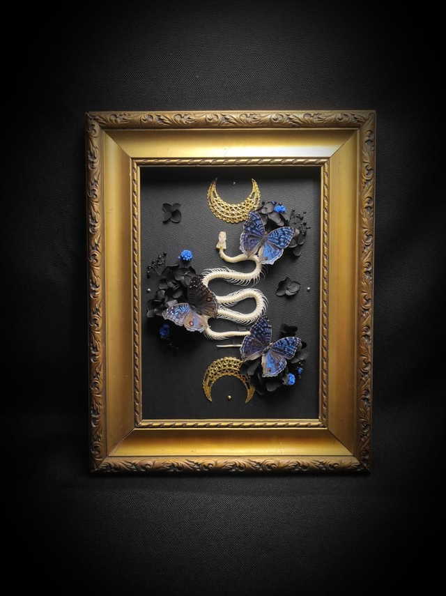 Cadre Vintage Serpent & Papillons Precis Rhadama 