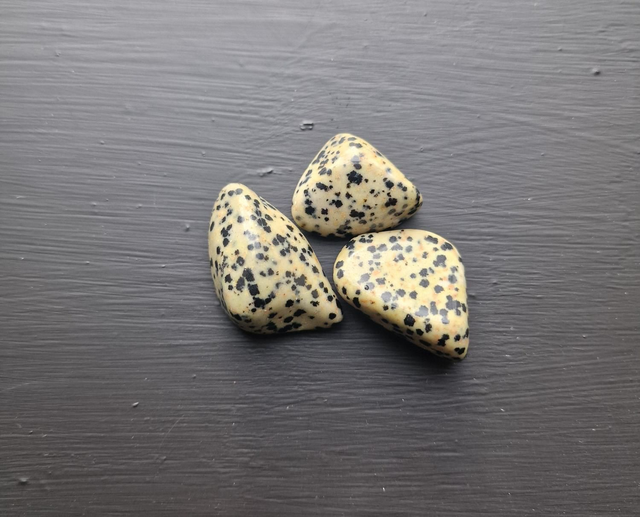 Dalmation jasper