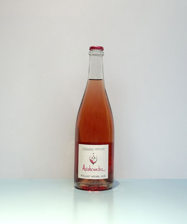 Acrobranche Pet Nat - Domaine de la Canopée