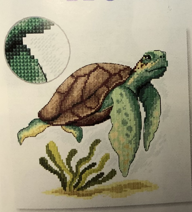 Schildkröte