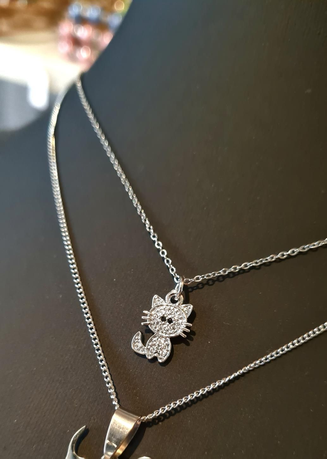 Collier "Animaux" acier Inoxydable Argenté 