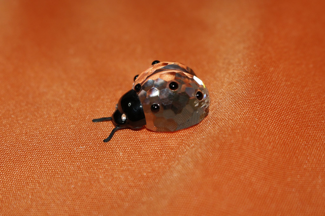 Swarovski Käfer