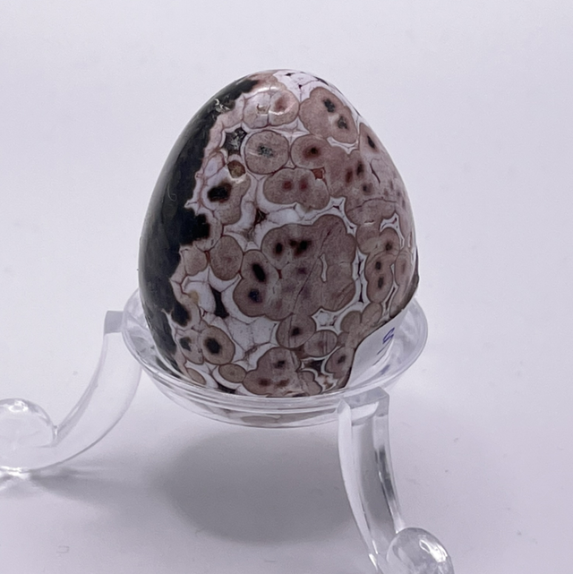 Ocean Jasper Egg