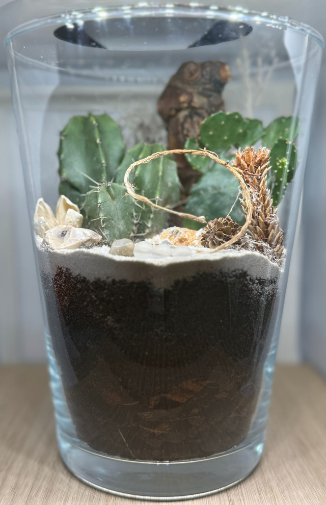 Bowo® GUYANE connecté Deluxe