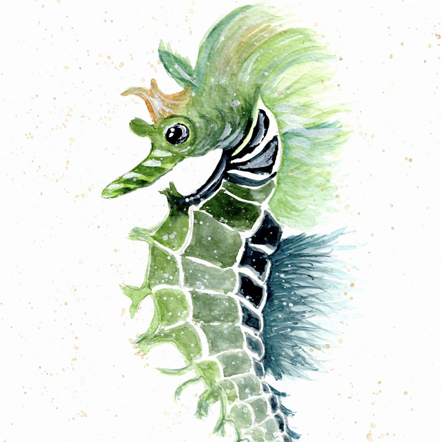 Seahorse card