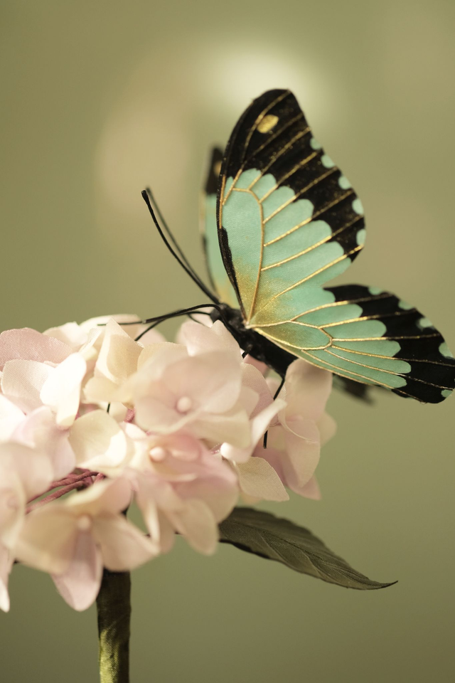 Flower Candlelight .005