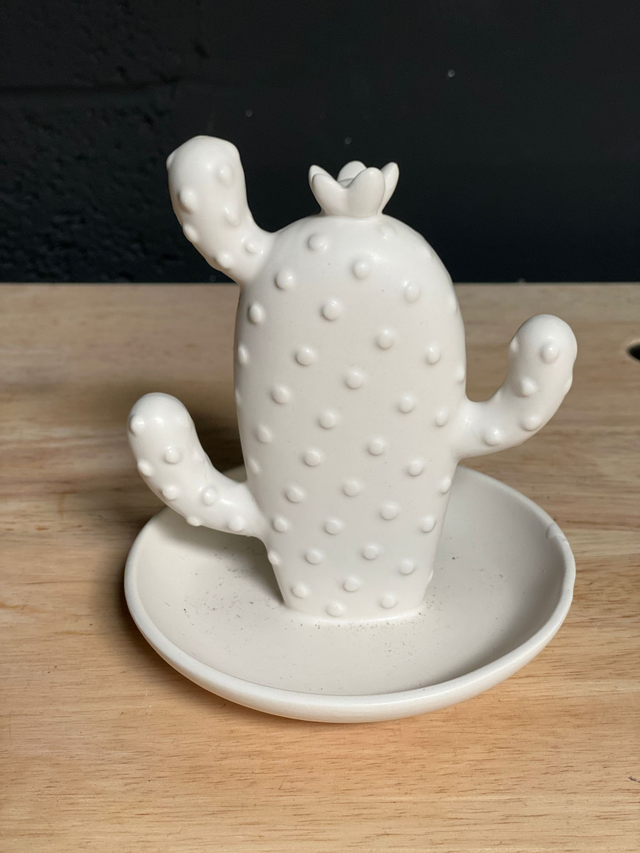 Décoration Cactus (Rose)