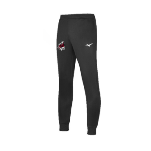 Pantalon d'entrainement - Coton