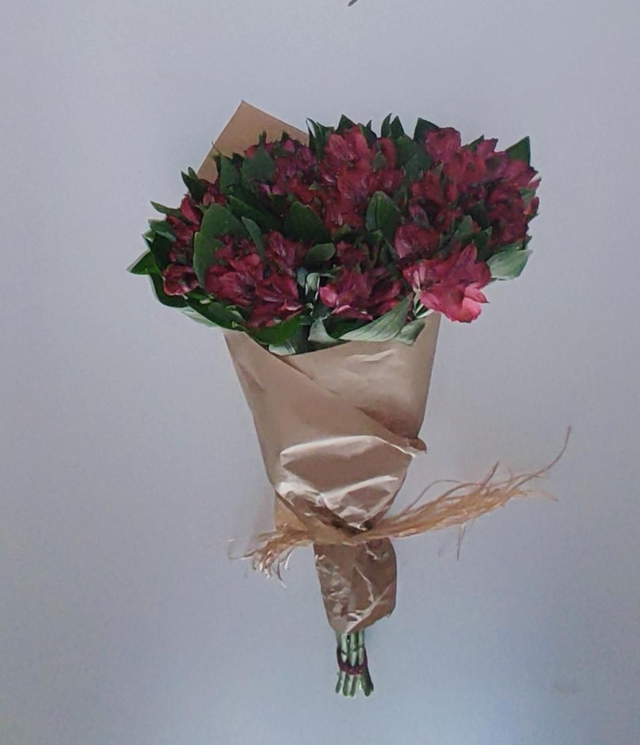 Alstromélia vermelha