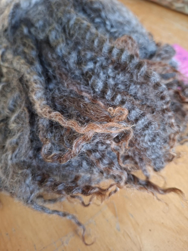 Boucles26005 Gotland/Leicester 77g