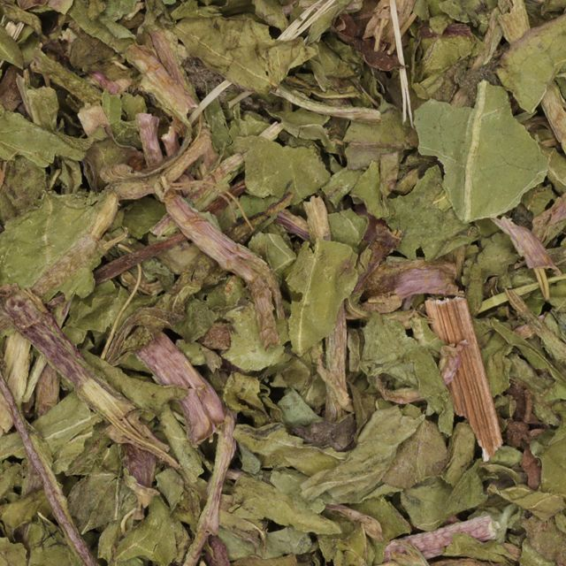 Paardenbloemblad (dandelion leaf) (Taraxacum officinale) - BIO