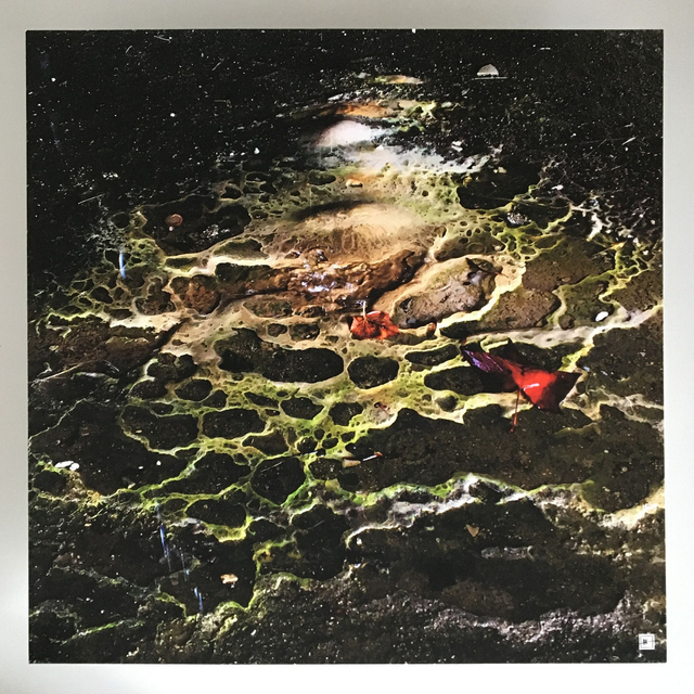 "Hélénite#132" - Tirage Photo FineArt (30x30 sans cadre)