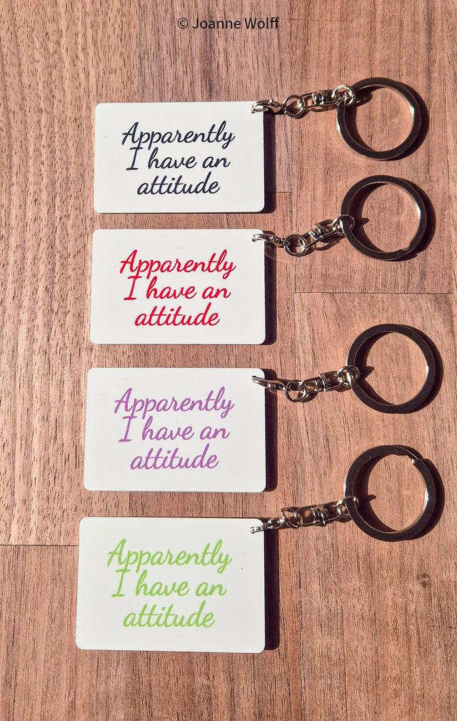 Sarcastic Aluminium Keyrings  