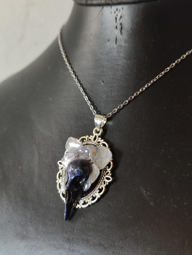 Collier hortensias naturelles et crâne de corbeau