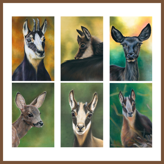 Pack de stickers Cervidés - 6 pièces