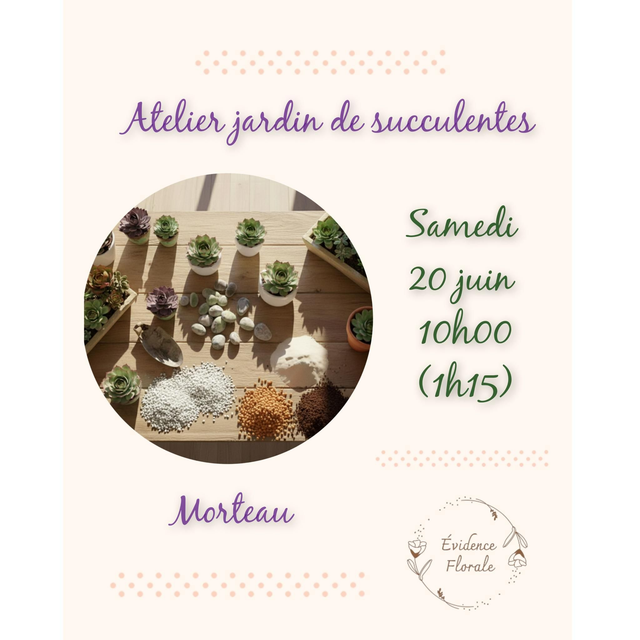 K. Atelier jardin de succulentes 