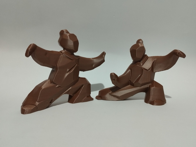 Casal de Lutadores em Poses de Arte Marcial