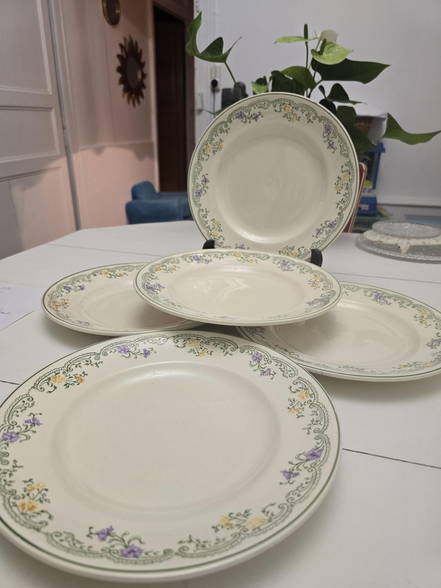 Assiettes plates n1 Longwy 