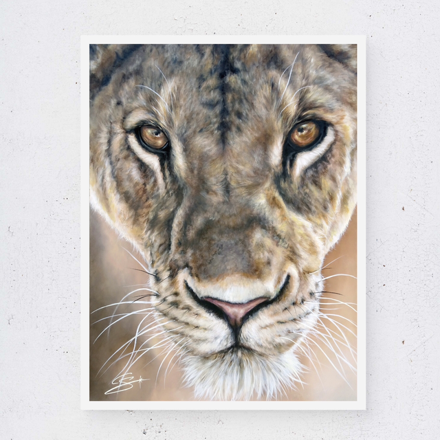 Tirage d’art Lionne 